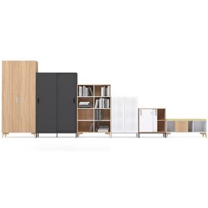 CHOICE skapserie