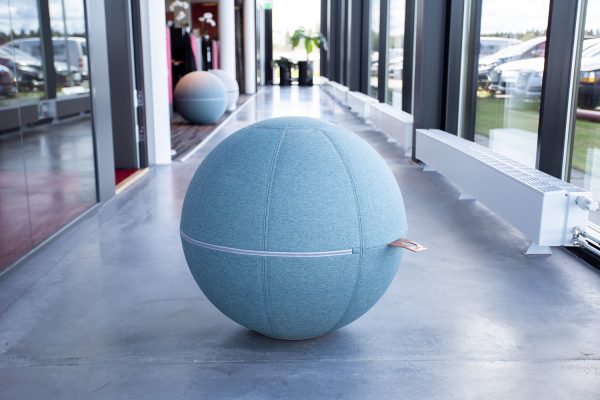 Office Ballz big - Bilde 8