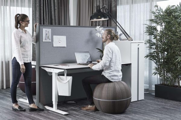 Office Ballz big