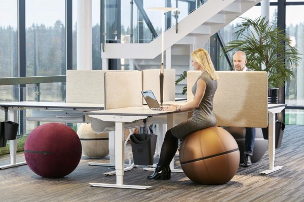 Office Ballz big - Bilde 2