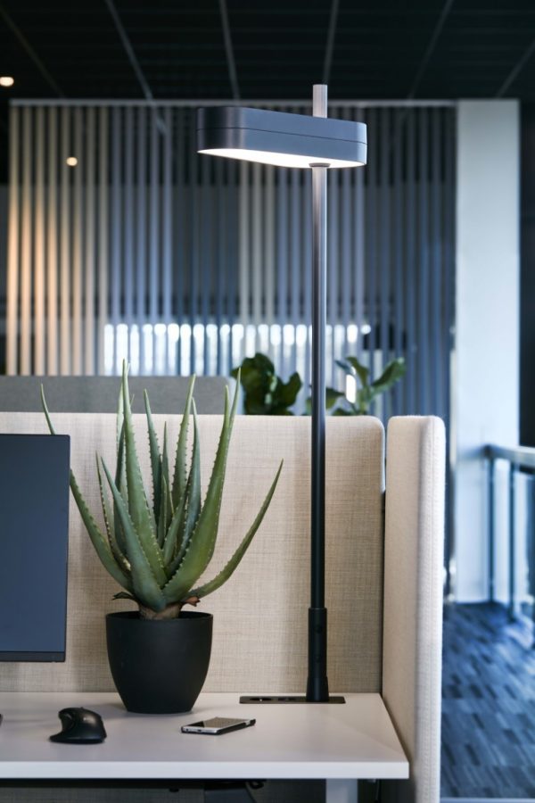 The Lighting LED lampe - Bilde 3