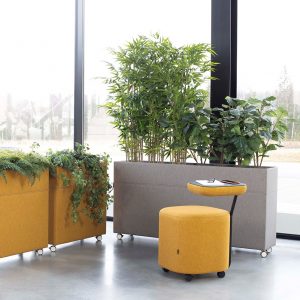 Plant Divider large