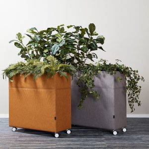 Plant Divider small