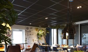 Tiles Raw EcoSUND takplater