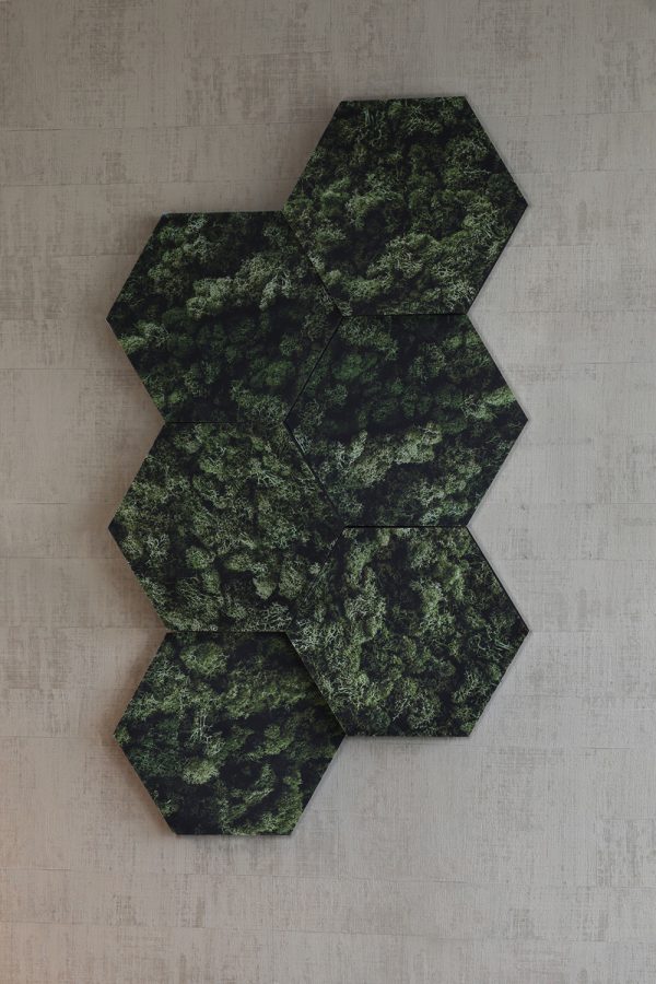 HoneyPrint Moss akustikkplate - Bilde 2