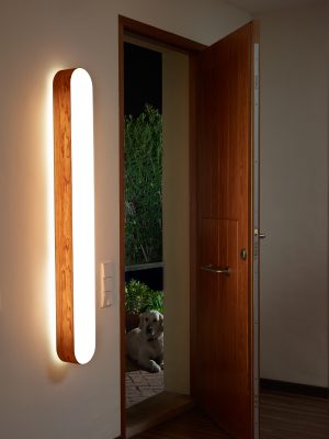 I- CLUB LARGE tak og vegglampe