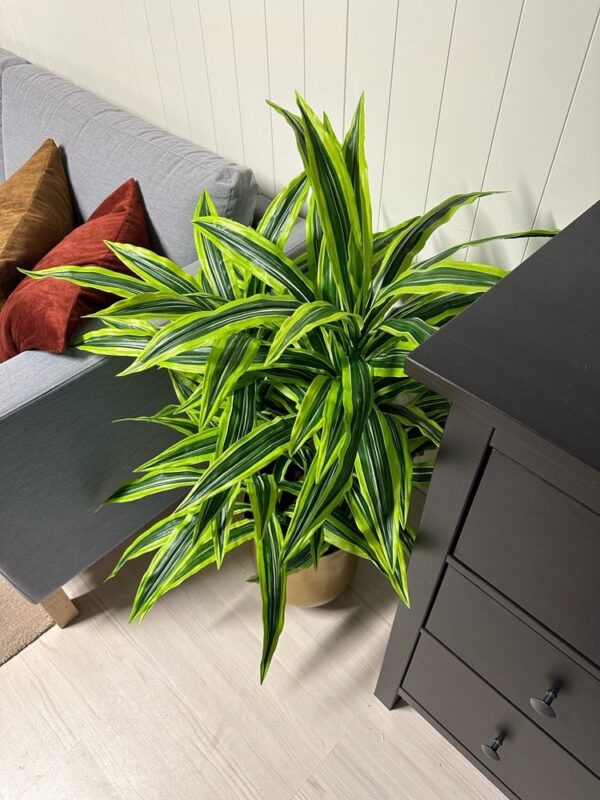 Dracaena Tre Kunstig plante - Bilde 2