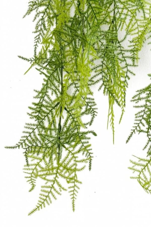 Asparagus Plumosus 80cm Kunstig hengeplante - Bilde 3
