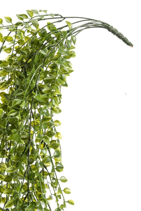 Fikus 80cm Kunstig hengeplante - Bilde 2