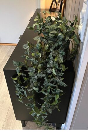 Fittonia Miniblad 90cm Kunstig hengeplante