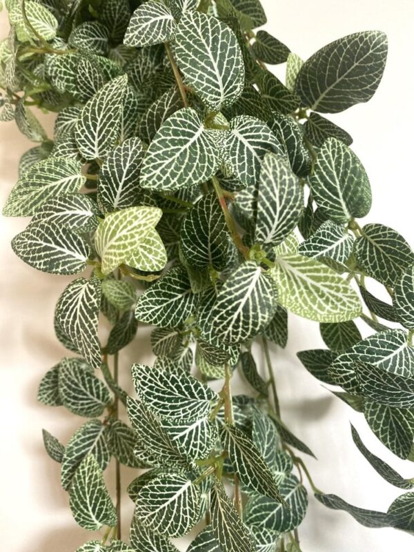 Fittonia Miniblad 90cm Kunstig hengeplante - Bilde 5