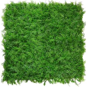 Bregne/Tuja 50x50cm Plantevegg